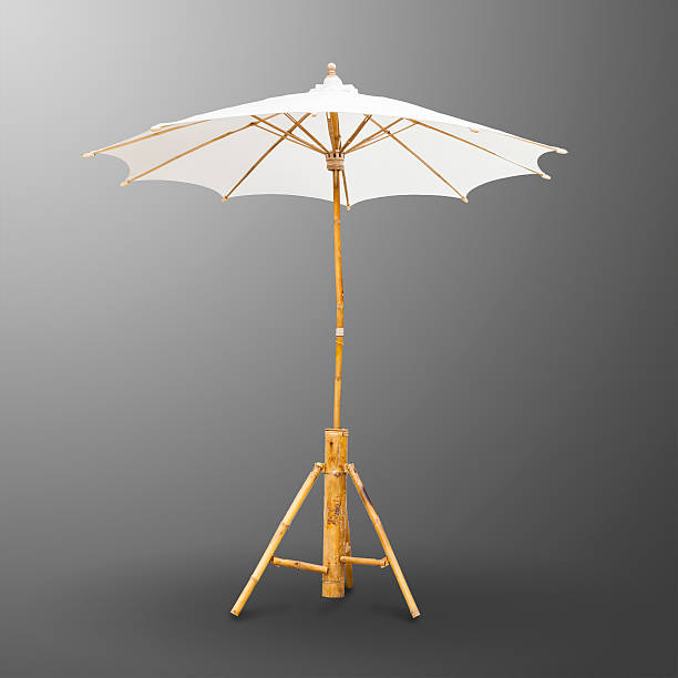 istock Thailand  umbrella calico 544989590