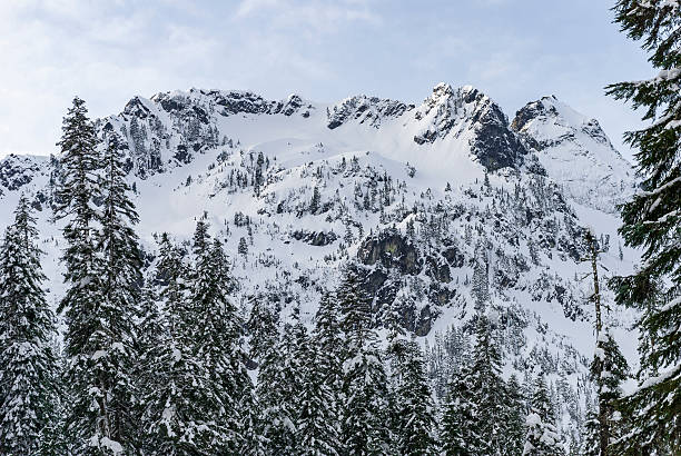 istock Snow Covered Mountain Ridge with Summit Framed by Forest Trees 544991796