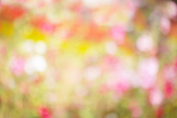 istock Abstract blur Fresh flower morning dew on spring grass 544993696