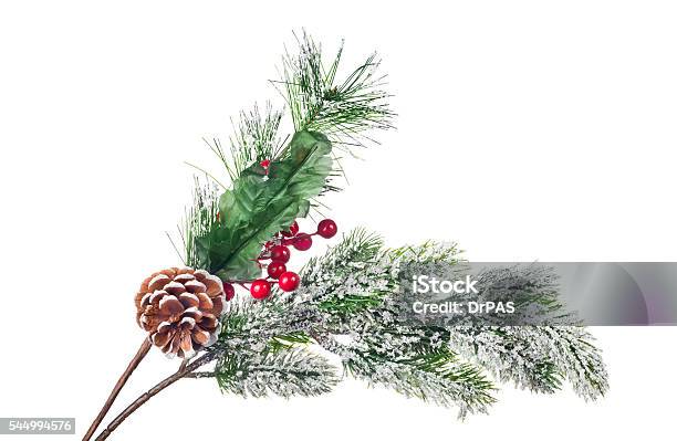 Artificial Pine Branches With Cone And Red Berries Stock Photo - Download  Image Now - Artificial, Branch - Plant Part, Celebration - iStock