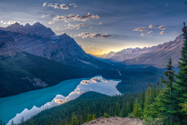 vista sul lago peyto, jasper national park, montagne rocciose canadesi - parco nazionale di jasper foto e immagini stock