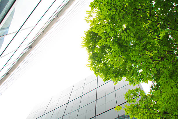 istock High-rise buildings and green leaf 545082452