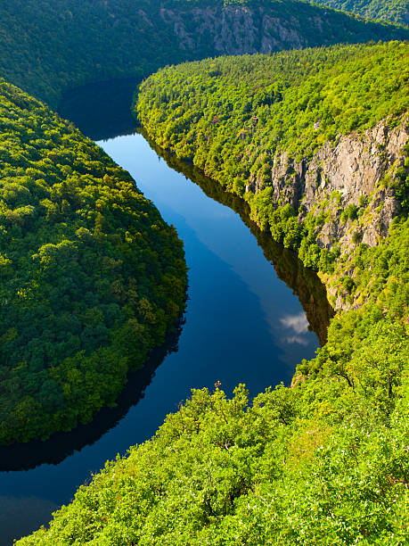 istock Vltava river forest meander in Czech Republic 545082500
