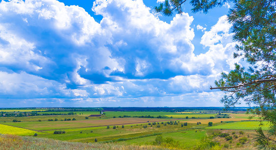 Summer landscape with green grass, village, fields and beautiful clouds, Donbass