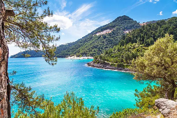 Photo of Summer vacation background with turquoise sea water bay, nountains, pine