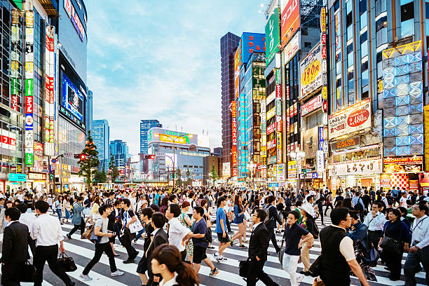 zebrastreifen in shinjuku, tokio während dem sonnenuntergang - tokio stock-fotos und bilder