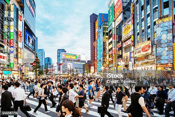 Zebra Crossing In Shinjuku Tokyo At Sunset Stock Photo - Download Image Now - Tokyo - Japan, Japan, Crowd of People