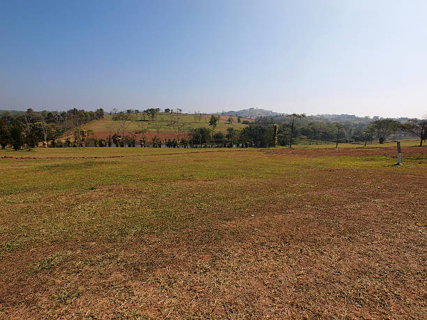 istock The grass field and the park in sunlight 545088432