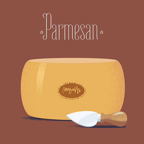 ilustrações de stock, clip art, desenhos animados e ícones de italiano parmesão ilustração vetorial - parmesan cheese