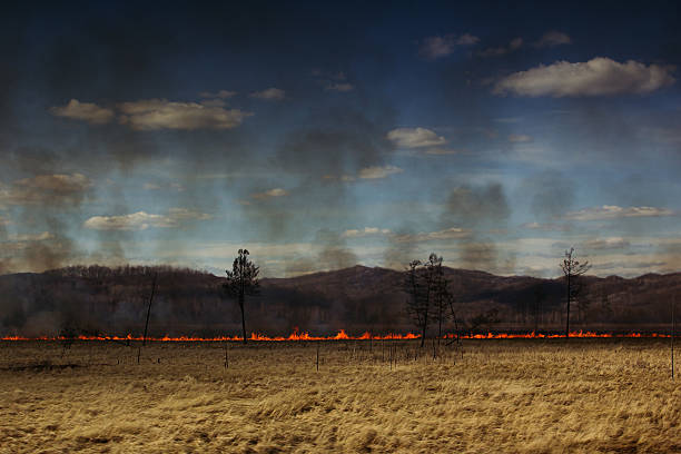istock The fire in the field. Fire line. Disaster. Landscape. 545090246