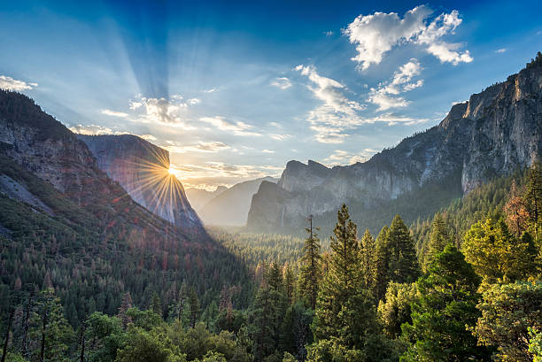 alba al parco nazionale di yosemite - waterfall summer outdoors river foto e immagini stock