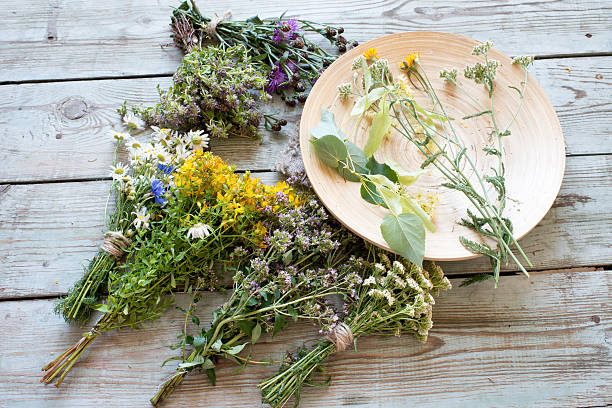 istock Freshly harvested herbs/toned photo 545091690