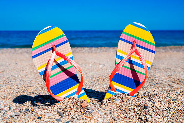 istock flip-flops on the sand of a beach 545094752