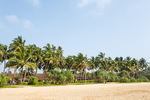 Beautiful landscape, tropical palm beach