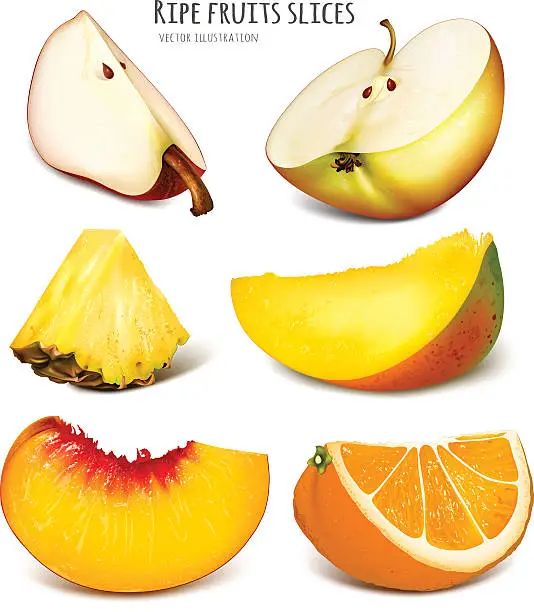 Vector illustration of Slices of fresh fruits.