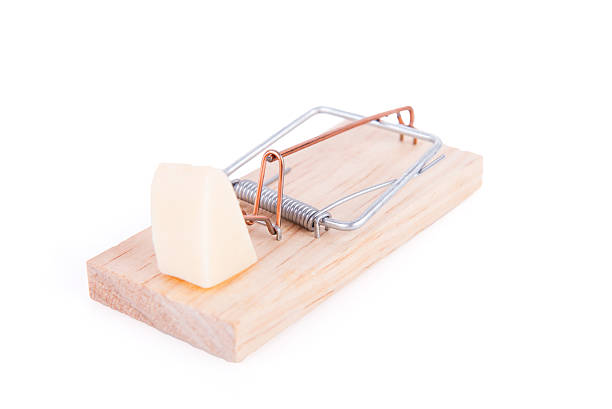 istock Wooden mousetrap with a cheese 545097886