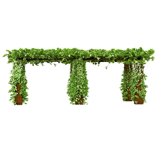 istock Large outdoor pavilion pergola 545098426