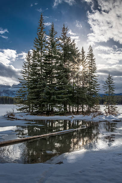 istock Back-Lit Trees on a Small Mountain Lake Island 545099004
