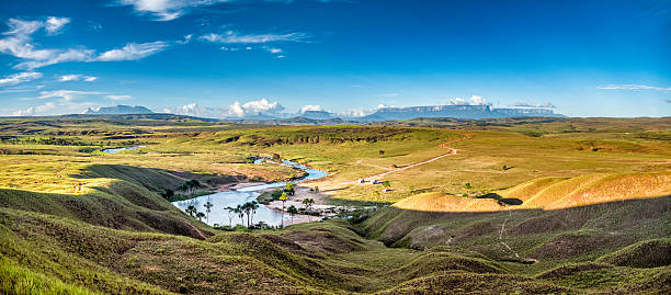 Panoramic view of La Playita, La Gran Sabana, Venezuela Panoramic view of La Playita or Playita Pond, La Gran Sabana, Venezuela. At the bottom from left to right Western Tepuy chain: Uru, Tramen, Karaurin. Then: Wadaka Piapo, Yuruani Tepuy, Kukenan Tepuy and Roraima Mount Tepuy. The savanna, or La Gran Sabana, spreads into the regions of the Guiana Highlands and south-east into Bolívar State all the way to the borders with Brazil and Guyana. The Gran Sabana has an area of 10,820 km2 and is part of the second largest National Park in Venezuela, the Canaima National Park. The largest National Park in Venezuela is Parima Tapirapecó located in the Amazon State. The average temperature is around 20 °C , but at night can drop to 13 °C, nevertheless on top of the tepuis it can reach 0 °C (32 °F). La Gran Sabana shows one of the most unusual landscapes in the world, with rivers, waterfalls, deep and huge valleys, impenetrable jungles and savannahs that host large numbers and varieties of plant and animal species. The most prominent geological features are the table top mountains known as tepuis. guyana stock pictures, royalty-free photos & images