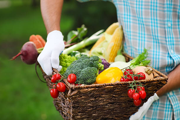 istock Basket filled fresh vegetables in hands of a man 545101766
