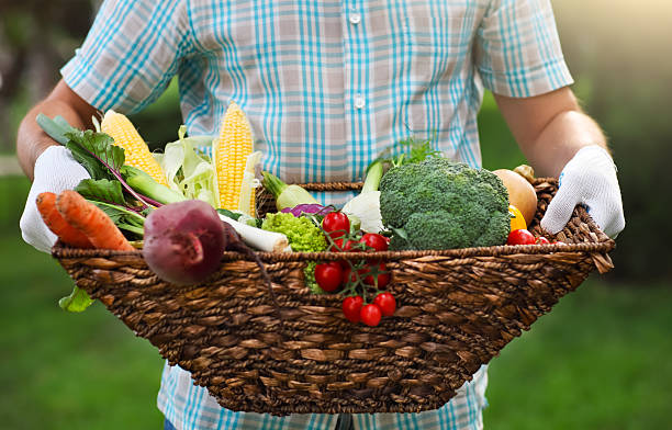 男の手に新鮮な野菜を満たしたバスケット - vegies vegetable basket residential structure ストックフォトと画像