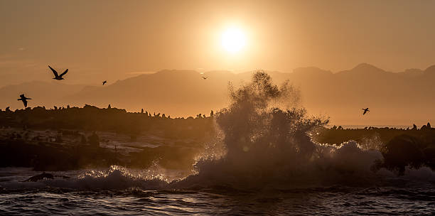 Crashing wave during sunrise at Seal Island stock photo