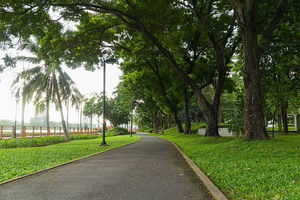 istock Curve pathway in the outdoor park 545111692