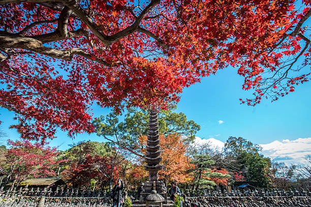 Tokyo, Japan - November 27, 2015: An unidentified tourist is walking in the middle of Buddhist statuettes on his vacation.