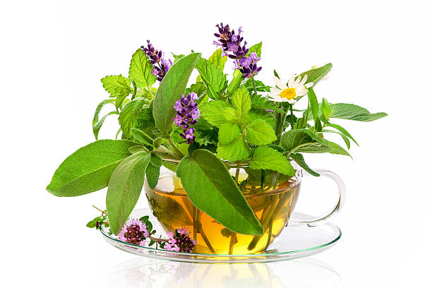新鮮な癒しのハーブとティーカップ - tea cup tea cup herbal medicine ストックフォトと画像