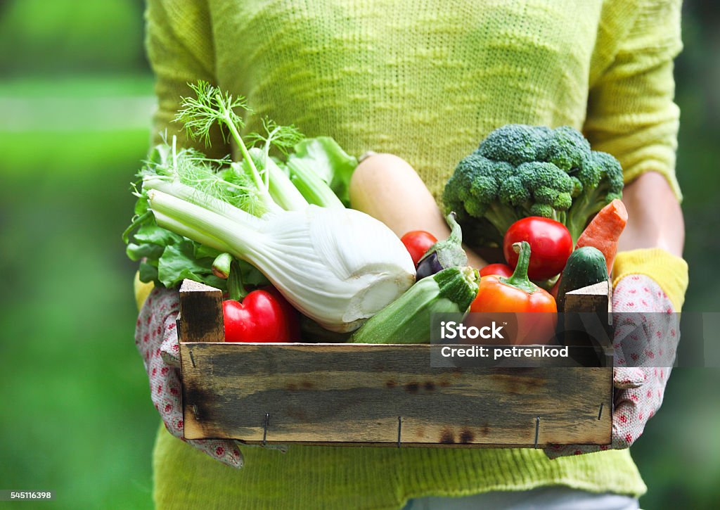 Woman wearing gloves with fresh vegetables in the box Woman wearing gloves with fresh vegetables in the box in her hands. Close up Adult Stock Photo