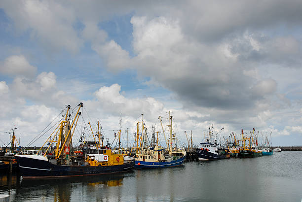 istock Fishing boats in a harbor 545116926