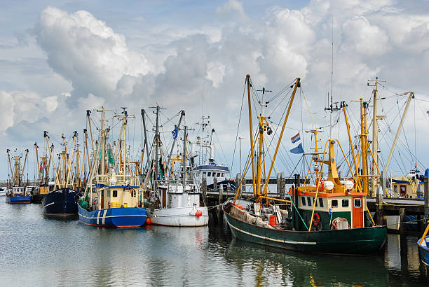 istock Fishing boats in a harbor 545117012