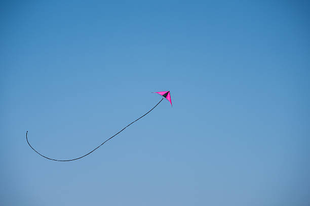istock Small kite in Cape Verde, Africa 545117134