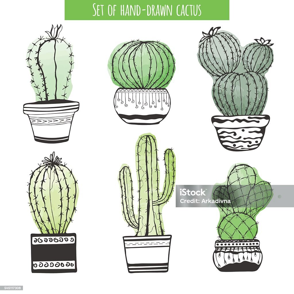 Tay Xương Rồng Vẽ Hình minh họa Sẵn có - Tải xuống Hình ảnh Ngay ...