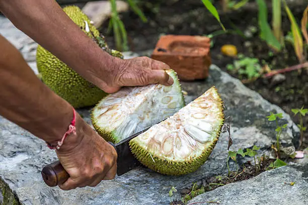 How To Cut Jackfruit