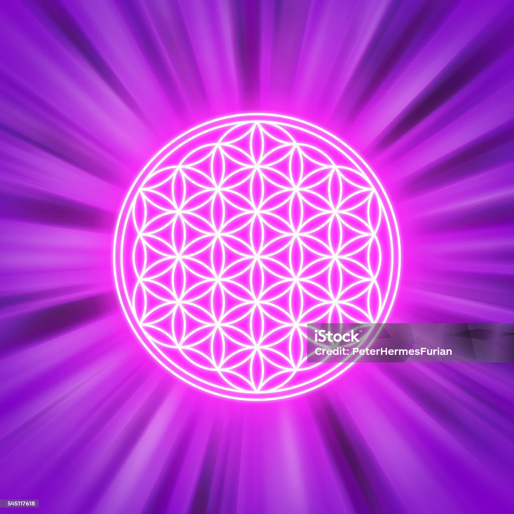 Bright Flower of Life on pink light rays Bright Flower of Life on pink light rays. Spiritual symbol and Sacred Geometry since ancient times. Illustration. Built Structure stock illustration