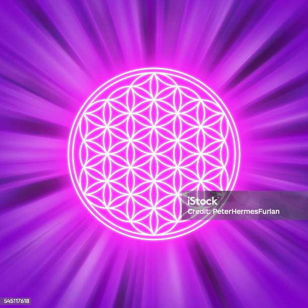Bright Flower Of Life On Pink Light Rays Stock Illustration - Download Image Now - Built Structure, Circle, Cross Section