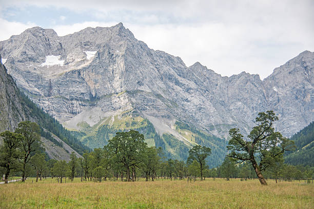 großer ahornboden górskie panoramy w alpach karwendel w europie - lake tegernsee zdjęcia i obrazy z banku zdjęć