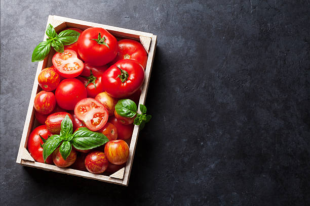 Fresh ripe garden tomatoes and basil