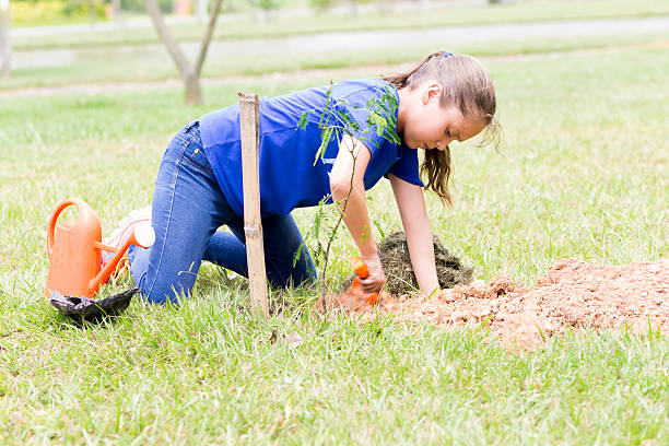 istock Happy Girl Planting 545121468
