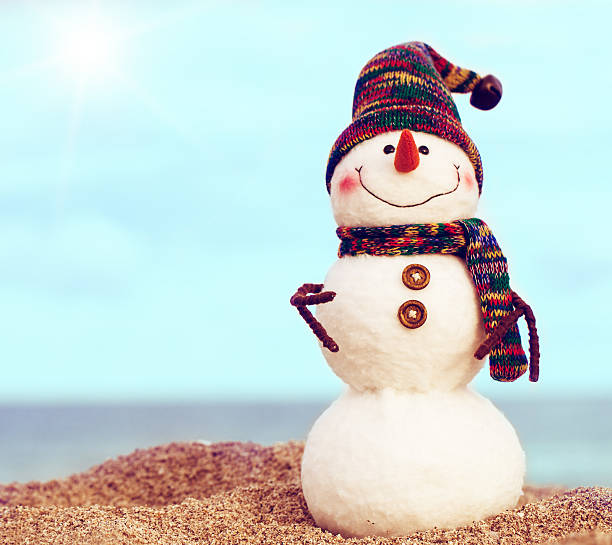 istock Smiling snowman on the sea beach 545121550