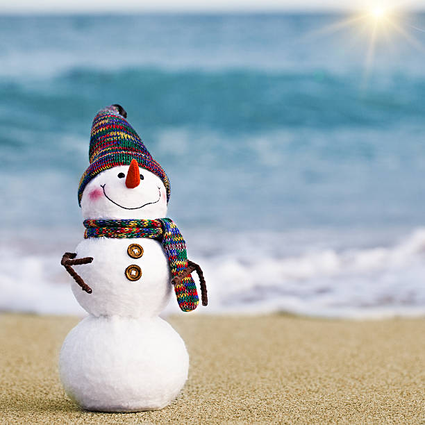 istock Smiling snowman on the sea beach 545121590