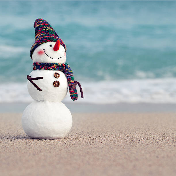 istock Smiling snowman on the sea beach 545121622