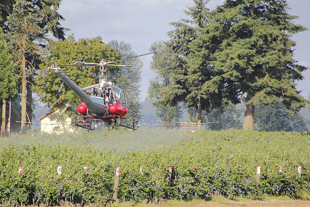 istock Agricultural Aircraft 545125114