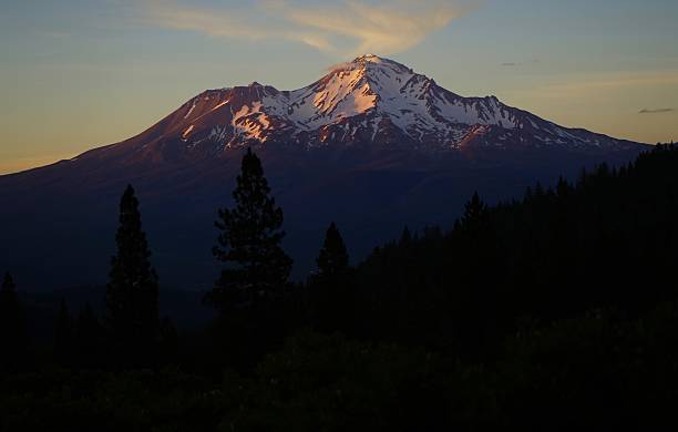 istock Mt. Shasta Purple 545125940