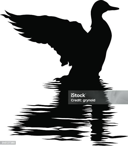Duck Sitting On Water Stock Illustration - Download Image Now - Duck - Bird, Hunting - Sport, Portrait