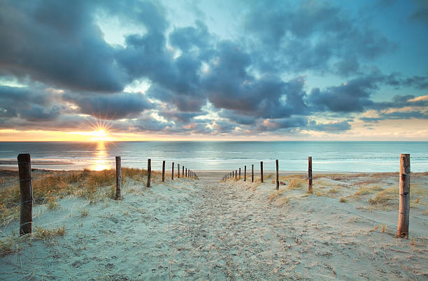 istock sunshine on sand path to sea beach 545127666