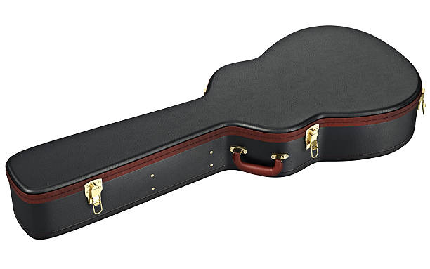 istock Guitar case bag for musical equipment 545127810