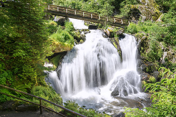 나무 다리를 가진 트리베르크 폭포 - black forest waterfall triberg landscape 뉴스 사진 이미지