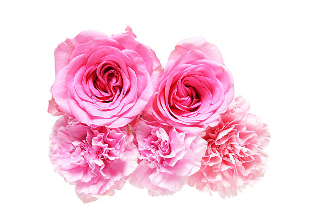 istock Bouquet of carnation and rose 545242170